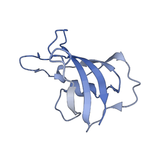 33940_7vmq_J_v1-0
Structure of recombinant RyR2 (Ca2+ dataset, class 3, open state)
