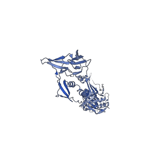 21247_6vn1_C_v1-1
A 2.8 Angstrom Cryo-EM Structure of a Glycoprotein B-Neutralizing Antibody Complex Reveals a Critical Domain for Herpesvirus Fusion Initiation