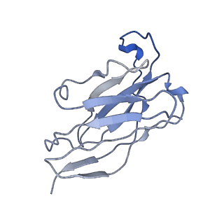 21247_6vn1_H_v1-1
A 2.8 Angstrom Cryo-EM Structure of a Glycoprotein B-Neutralizing Antibody Complex Reveals a Critical Domain for Herpesvirus Fusion Initiation