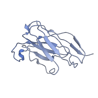 21247_6vn1_I_v1-1
A 2.8 Angstrom Cryo-EM Structure of a Glycoprotein B-Neutralizing Antibody Complex Reveals a Critical Domain for Herpesvirus Fusion Initiation