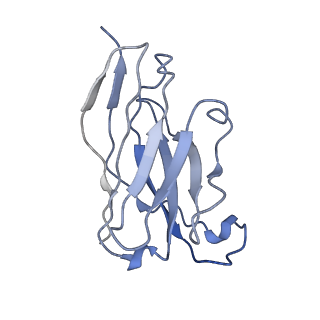 21247_6vn1_J_v1-1
A 2.8 Angstrom Cryo-EM Structure of a Glycoprotein B-Neutralizing Antibody Complex Reveals a Critical Domain for Herpesvirus Fusion Initiation
