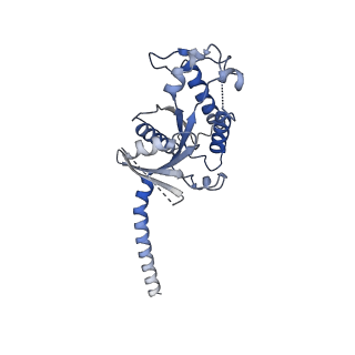 21249_6vn7_A_v1-0
Cryo-EM structure of an activated VIP1 receptor-G protein complex