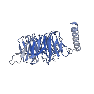 21249_6vn7_B_v1-0
Cryo-EM structure of an activated VIP1 receptor-G protein complex