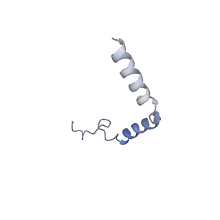 21249_6vn7_G_v1-0
Cryo-EM structure of an activated VIP1 receptor-G protein complex