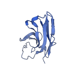 21249_6vn7_N_v1-0
Cryo-EM structure of an activated VIP1 receptor-G protein complex