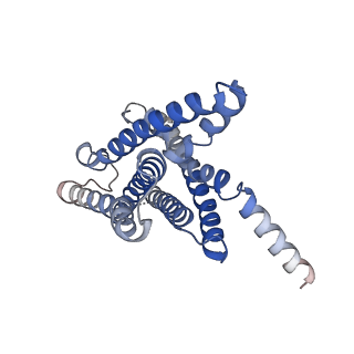 21249_6vn7_R_v1-0
Cryo-EM structure of an activated VIP1 receptor-G protein complex