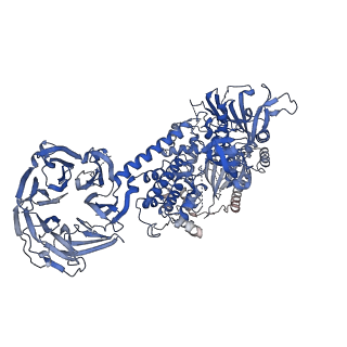 21250_6vno_A_v1-2
Cryo-EM structure of the C-terminal half of the Parkinson's Disease-linked protein Leucine Rich Repeat Kinase 2 (LRRK2)