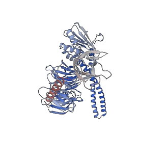 21251_6vnw_B_v1-1
Cryo-EM structure of apo-BBSome