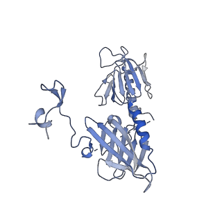 21251_6vnw_G_v1-1
Cryo-EM structure of apo-BBSome