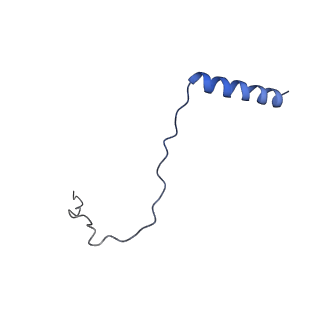 21251_6vnw_H_v1-1
Cryo-EM structure of apo-BBSome