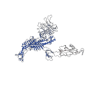 32039_7vnd_A_v1-0
Structure of the SARS-CoV-2 spike glycoprotein in complex with a human single domain antibody n3113 (UUD-state, state 2)