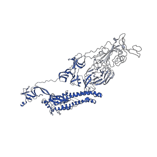 32039_7vnd_C_v1-0
Structure of the SARS-CoV-2 spike glycoprotein in complex with a human single domain antibody n3113 (UUD-state, state 2)