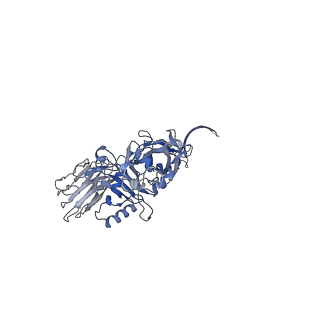 32041_7vnj_E_v1-0
Complex structure of Clostridioides difficile enzymatic component (CDTa) and binding component (CDTb) pore with short stem