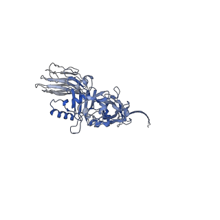 32041_7vnj_F_v1-0
Complex structure of Clostridioides difficile enzymatic component (CDTa) and binding component (CDTb) pore with short stem
