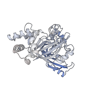 32041_7vnj_H_v1-0
Complex structure of Clostridioides difficile enzymatic component (CDTa) and binding component (CDTb) pore with short stem
