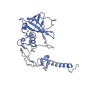 32042_7vnm_H_v1-0
Rba sphaeroides PufY-KO RC-LH1 monomer