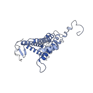 32042_7vnm_L_v1-0
Rba sphaeroides PufY-KO RC-LH1 monomer