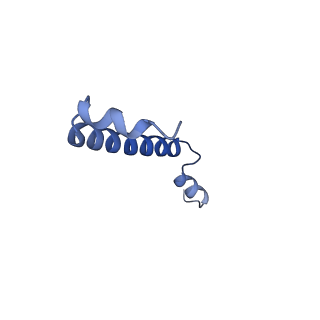 32042_7vnm_O_v1-0
Rba sphaeroides PufY-KO RC-LH1 monomer