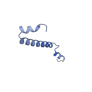 32042_7vnm_Q_v1-0
Rba sphaeroides PufY-KO RC-LH1 monomer