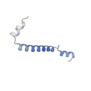 32042_7vnm_U_v1-0
Rba sphaeroides PufY-KO RC-LH1 monomer
