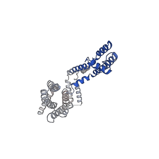32045_7vnq_A_v1-1
Structure of human KCNQ4-ML213 complex in nanodisc