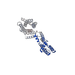 32045_7vnq_C_v1-1
Structure of human KCNQ4-ML213 complex in nanodisc