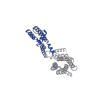 32045_7vnq_G_v1-1
Structure of human KCNQ4-ML213 complex in nanodisc