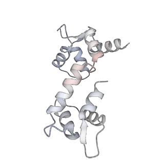 32045_7vnq_H_v1-1
Structure of human KCNQ4-ML213 complex in nanodisc