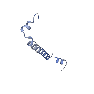 32047_7vny_3_v1-0
Rba sphaeroides WT RC-LH1 monomer