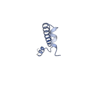 32047_7vny_I_v1-0
Rba sphaeroides WT RC-LH1 monomer