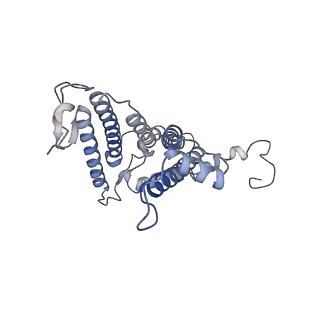 32047_7vny_L_v1-0
Rba sphaeroides WT RC-LH1 monomer