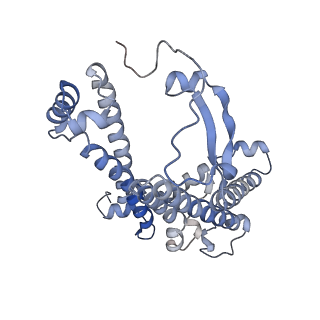32047_7vny_M_v1-0
Rba sphaeroides WT RC-LH1 monomer