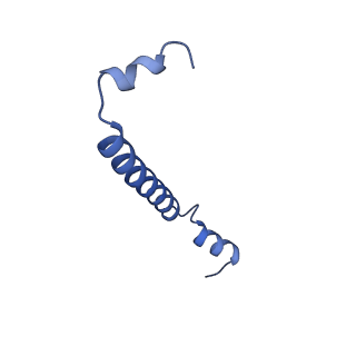 32047_7vny_W_v1-0
Rba sphaeroides WT RC-LH1 monomer