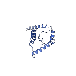 8713_5vn3_B_v1-4
Cryo-EM model of B41 SOSIP.664 in complex with soluble CD4 (D1-D2) and fragment antigen binding variable domain of 17b
