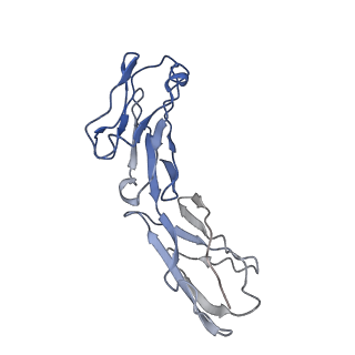 8713_5vn3_C_v1-4
Cryo-EM model of B41 SOSIP.664 in complex with soluble CD4 (D1-D2) and fragment antigen binding variable domain of 17b