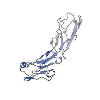 8713_5vn3_E_v1-4
Cryo-EM model of B41 SOSIP.664 in complex with soluble CD4 (D1-D2) and fragment antigen binding variable domain of 17b