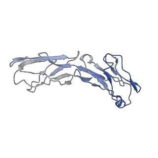 8713_5vn3_F_v1-4
Cryo-EM model of B41 SOSIP.664 in complex with soluble CD4 (D1-D2) and fragment antigen binding variable domain of 17b
