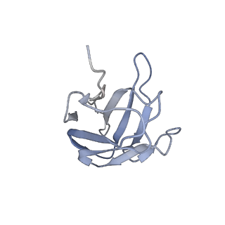 8713_5vn3_N_v1-4
Cryo-EM model of B41 SOSIP.664 in complex with soluble CD4 (D1-D2) and fragment antigen binding variable domain of 17b