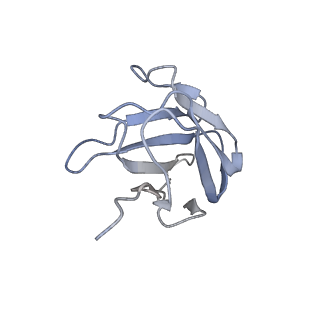 8713_5vn3_O_v1-4
Cryo-EM model of B41 SOSIP.664 in complex with soluble CD4 (D1-D2) and fragment antigen binding variable domain of 17b