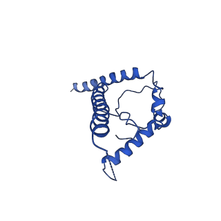 8717_5vn8_C_v1-4
Cryo-EM model of B41 SOSIP.664 in complex with fragment antigen binding variable domain of b12