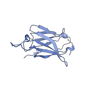 8717_5vn8_F_v1-4
Cryo-EM model of B41 SOSIP.664 in complex with fragment antigen binding variable domain of b12