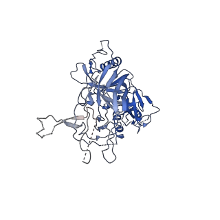 8717_5vn8_G_v1-4
Cryo-EM model of B41 SOSIP.664 in complex with fragment antigen binding variable domain of b12