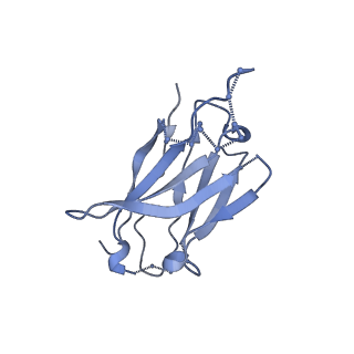 8717_5vn8_H_v1-4
Cryo-EM model of B41 SOSIP.664 in complex with fragment antigen binding variable domain of b12