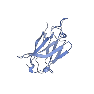 8717_5vn8_H_v2-0
Cryo-EM model of B41 SOSIP.664 in complex with fragment antigen binding variable domain of b12