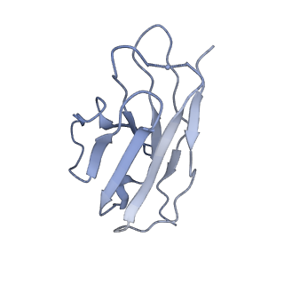 8717_5vn8_J_v1-4
Cryo-EM model of B41 SOSIP.664 in complex with fragment antigen binding variable domain of b12