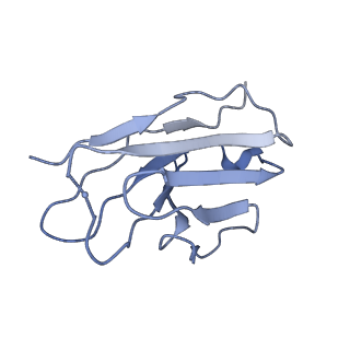 8717_5vn8_K_v1-4
Cryo-EM model of B41 SOSIP.664 in complex with fragment antigen binding variable domain of b12