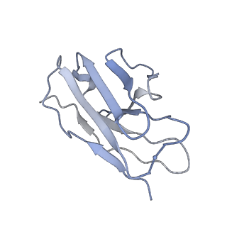8717_5vn8_L_v1-4
Cryo-EM model of B41 SOSIP.664 in complex with fragment antigen binding variable domain of b12