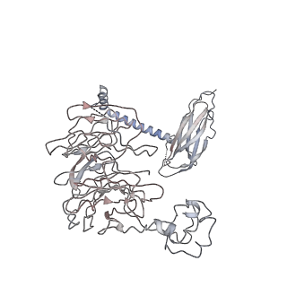 21259_6voa_D_v1-0
Cryo-EM structure of the BBSome-ARL6 complex