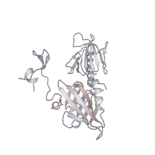 21259_6voa_G_v1-1
Cryo-EM structure of the BBSome-ARL6 complex