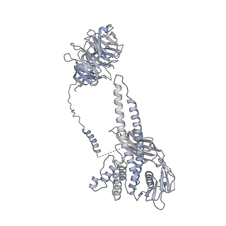 21259_6voa_I_v1-1
Cryo-EM structure of the BBSome-ARL6 complex